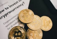 digital guide for growth